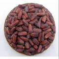 Maryam Dates - 1Kg. 