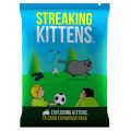 Exploding Kittens Card Game Original Edition NSFW Party Streaking Kittens Imploding Kittens Expansion Barking Kittens Bears vs B. 