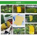 Double-sided insect trap tea garden orchard blue stained trips yellow trap trap yellow plate insect stickers gardening Sticky Trap. 