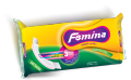 Femina Antibacterial Sanitary Napkin Belt - 8 pads.