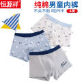 Hengyuanxiang Boys' Underwear Pure Cotton Boyshorts Summer Children's Boxers Thin Medium and Large Children's Underwear12Little Boy15. 