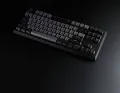 Tecware Phantom + ELITE RGB 87-Key, Tenkeyless Hotswappable Mechanical Keyboard (New version) II (SWITCH-BROWN/ORANGE) plug and play with computer or xbox or console. 