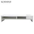 ECHIDNA Computer Monitor Holder Solid Color Convenient Desktop Monitor Stand. 