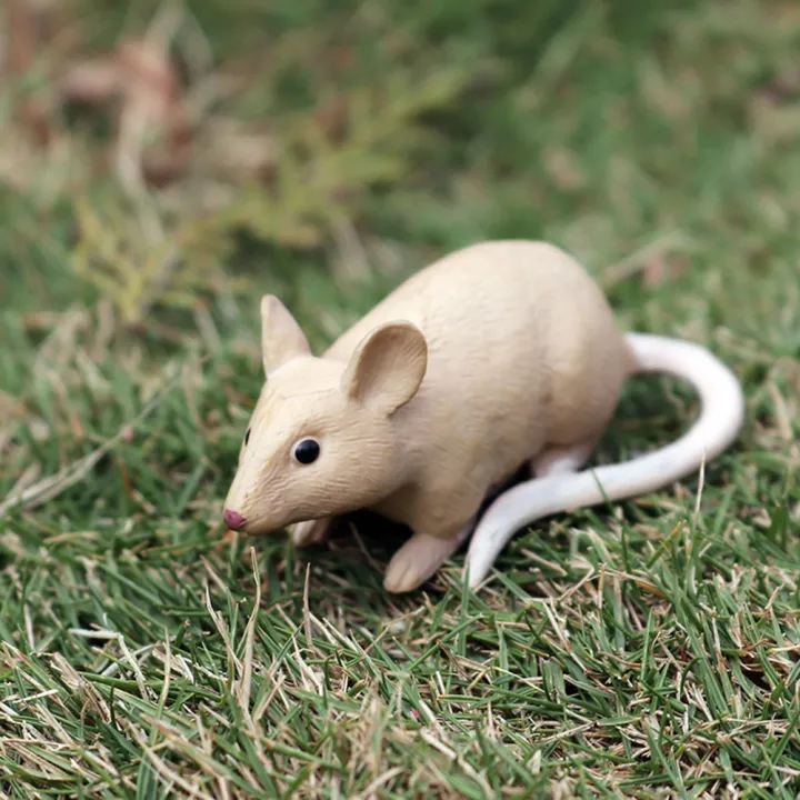 %EF%BC%88New%EF%BC%89Realitic%20Moue%20Rat%20Opoum%20Animal%20Model%20Figure%20Dek%20Decor%20Education%20Kid%20Toy%20-%20Image%204