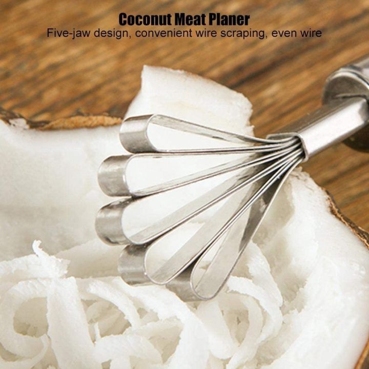 Stainless%20Steel%20Coconut%20Meat%20Removal%20/%20Coconut%20Meat%20Grater%20Slicer%20Fish%20Scale%20Planning%20-%20Image%207