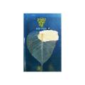 Pencile Aka Pori ( পেন্সিলে আঁকা পরী ) By Humayun Ahmed - Book. 
