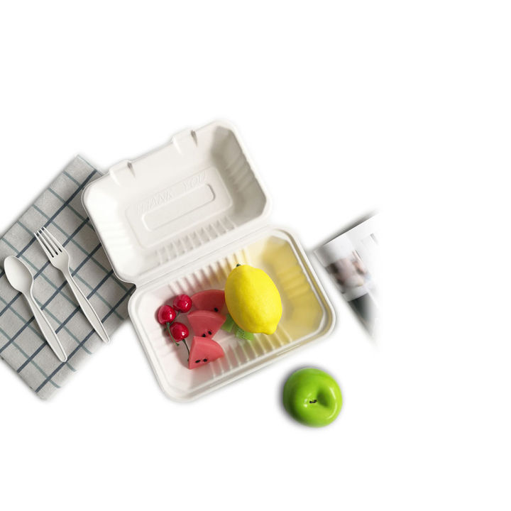 12%20Pieces%208%20X%206%20Inch%20Disposable%20Lunch%20Box%20Plastic%20Food%20Take%20Out%20Container%20-%20Tiffin%20Box%20For%20Office%20-%20Image%205