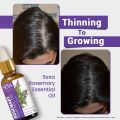 Sesa Rosemary Essential Oil 15ml. 