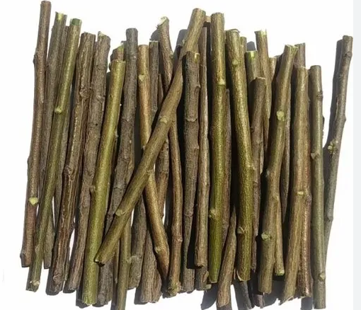 Neem%20ka%20Daton/Ayurvedic%20natural%20neem%20toothbrush/organic%20toothbrush/neem%20tree%20chew%20stick%20for%20brushing%20%5B%207inch%5D%5B%2010inch%5B%20%5B%2012inch%20%5D(1PCS)%20-%20Image%202