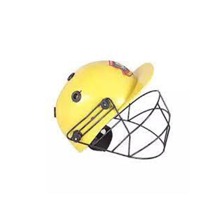 Cricket Helmet - multicolor