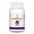 Mushroom Gynura Supplement by Herbs 30 Capsules. 