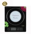 VISION Induction Cooker VSN-1204 Border Eco 873826 (Free Delivery).
