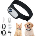 Pet Collar Camera No Wifi Required HD Mini Sports Camera Cat Camera Choker Dog Tracker Collar With Video Records Pet Supplies Hudduo. 
