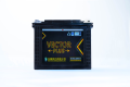 Vector Plus Easy Bike Battery 6-DG-160.