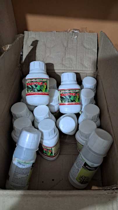 Booster%204-%E0%A6%AC%E0%A7%81%E0%A6%B8%E0%A7%8D%E0%A6%9F%E0%A6%BE%E0%A6%B0-%E0%A7%AA%20%E0%A6%85%E0%A6%B0%E0%A7%8D%E0%A6%9C%E0%A6%BF%E0%A6%A8%E0%A6%BE%E0%A6%B2%20%E0%A6%87%E0%A6%A8%E0%A7%8D%E0%A6%A1%E0%A6%BF%E0%A7%9F%E0%A6%BE%E0%A6%A8%20-%20Image%203