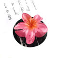 Flower Hair Claw Clips Hawaiian Flower Hair Claw Clips Hair Hold jaw clip. 