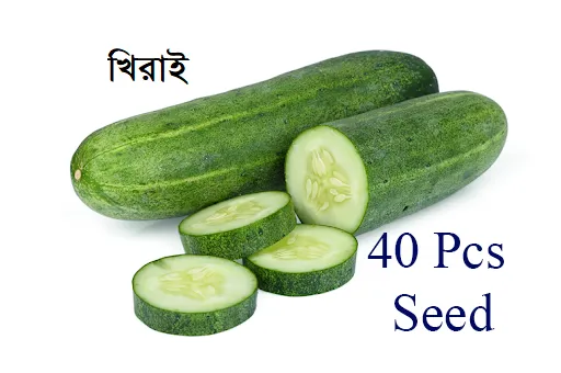 Khirai%20(%E0%A6%96%E0%A6%BF%E0%A6%B0%E0%A6%BE%E0%A6%87)%20Seed%20-%2020/40%20pcs%20Seed%20-%20All%20Season%20Hybrid%20-%20Image%206