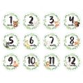 12 Pcs/Set Newborn Milestone Memorial Month Stickers Floral Baby Monthly Stickers Photography Commemorative Card.