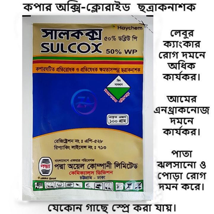 Anna Chapman bilan porno jinsiy aloqa