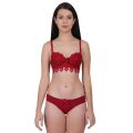 Women's Lace pushup wired Bra Panty Set. 