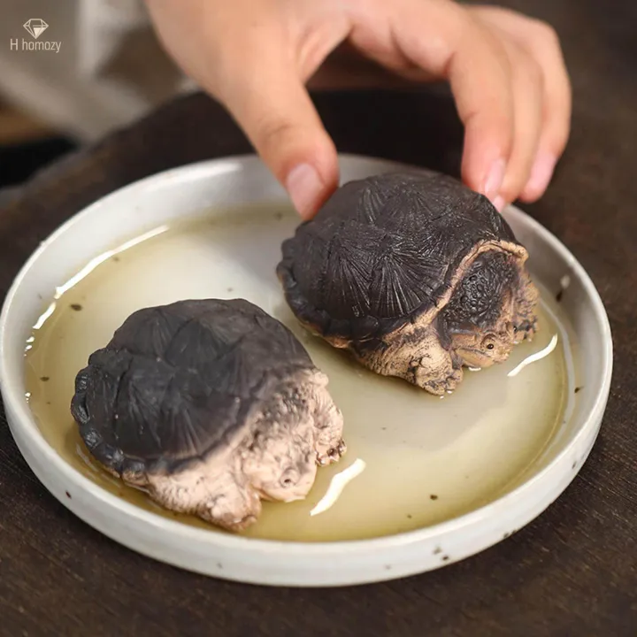 Little%20Snapping%20Turtle%20Statue%20Collectable%20for%20Bookshelf%20Tea%20House%20Cabinet%20-%20Image%208