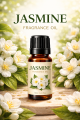 Premium Fragrance Oil/Essential Oil for Candle & Diffuser – Long Lasting Aroma – 10 ml Scents. 