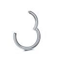 1Pc 316L Stainless Steel Hinged Segment Nose Ring Ear Cartilage Tragus Helix Lip Piercing Nose Hoop Body Piercing Jewelry. 