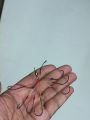 8 Kata Jhupi Hook Set india Nathur Kata 2set Explosion Hook Fishing Tackle Spider Hooks Set Carp Fishhook 2set.
