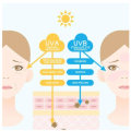 LAIKOU Milk Sunscreen SPF50 PA+++ Sunblock Brighten Skin Tone 50g. 