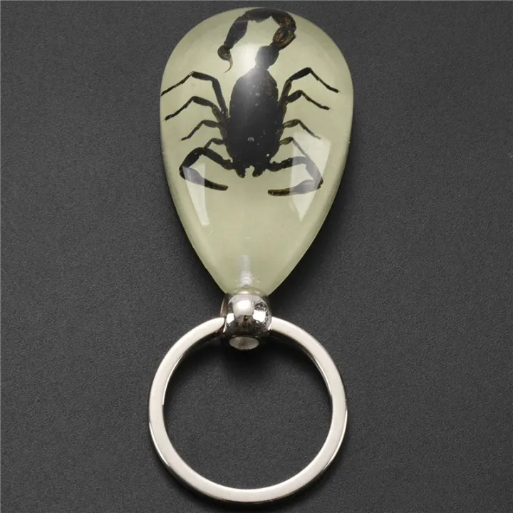 5X%20Glow-In-The-Dark%20Real%20Insect%20Keychain%20()%20-%20Image%208