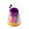 Migeet Preserved Re-al Rose Flower Eternal Rose in Glass Scented fo-rever Rose Flower Present for Women Mother's Day Valentine Romantic Wedding Home Party Festivals Anniversary Christmas Eve. 