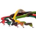 New  Rubber Snake Toy for kids multicolor(3pcs). 