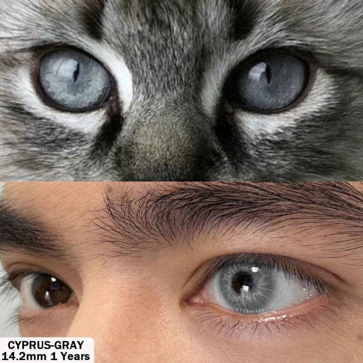 New%20Cyprus%20Gray%20Color%20Contact%20Lens%20With%20Regular%20Kit%20Box%20For%20Men%20And%20Women.%201%20Pair%20Cyprus%20Color%20Contact%20Lens%20For%20Eye%20Makeup%20and%20Cosmetics.%20Cyprus%20Series.%20#cyprus%20-%20Image%203