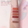 YOUNG VISION Multifunctional Makeup Stick for Lazy People High gloss Makeup, Rouge Matte Blush Stick, 6 Colors Available.