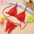 Women Sexy Bra set and Panties set Embroidery Ladies Underwear. 