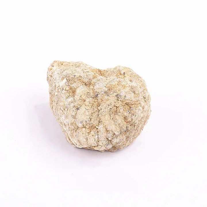 %E3%80%90Daily%20Necessities%20For%20Anyone%20Store%E3%80%911pc%20Geode%20Stones%20Crystals%20And%20Druzy%20Agate%20Complete%20Specimen%20White%20Crystal%20Cavity%204-6cm%20Cutting%20Craft%20Decor%20-%20Image%202