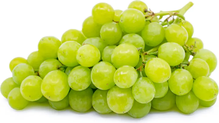 Easy%20to%20grow%20Sweet%20climbing%20Green%20Grape%20Seeds%20-20%20Pcs%20Seeds%20-%20Image%207