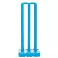 Plastic Cricket Stamp.