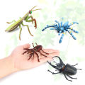 Cross-border static simulation insect model: spider, bull, praying mantis, butterfly, mosquito, insect, children's cognitive animal toys. 