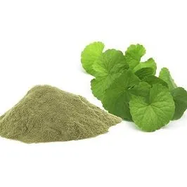 Brammi%20Powder/%20Brahmi%20Powder/%20Brammi%20Gura%20100gm%20-%20Image%205