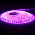 12volt dc LED Strip Light - purple 3fit. 