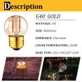 G40 LED Filament Mini Globe Light Bulb 1W Gold Warm White 2200K Amber Class 110-220V E27 Candelabra Bulb for Outdoor Living Room. 