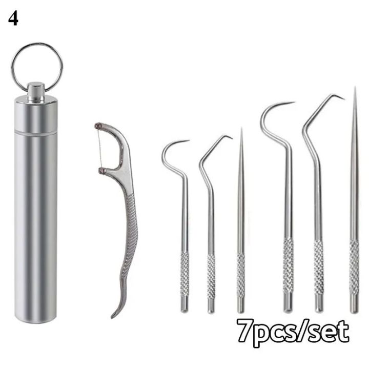 1Set Toothpick Set Stainless Steel Oral Cleaning Tooth Flossing Portable Toothpick Interdental Cleaning Tool With Storage Tube