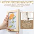 Double-sided Adhesive Strip 12/24pairs Non-destructive Hanging Wall Adhesive Strip Wall Hooks Tool-Free Removable Adhesive Strip.
