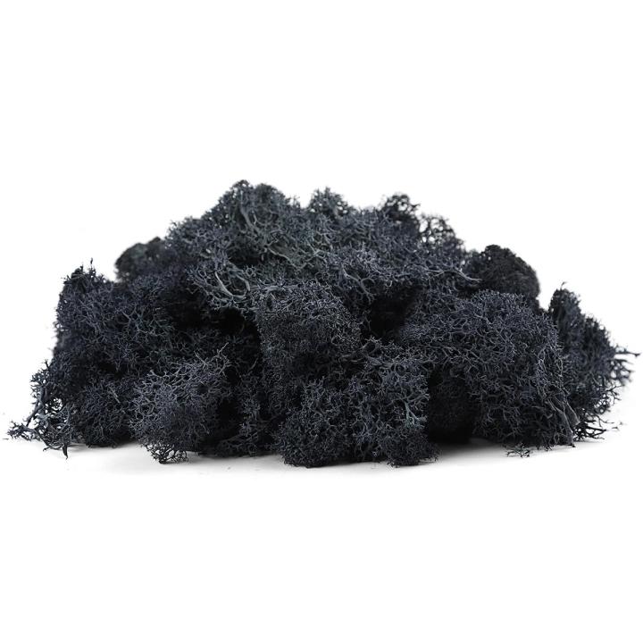 Natural%20Decoration%20Norwegian%20Reindeer%20Moss%20Preserved%20Dried%20Craft%20Flower%20500g%20Box%20-%20Image%205