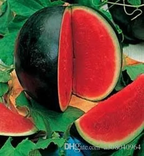 SUGAR%20BABY%20WATERMELON%20Fruit%20Seeds%20garden%20decoration%20Seeds%20-%2010pcs%20-%20Image%202