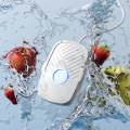 Multipurpose Fruit Vegetable Cleaning Machine for Tableware Vegetable Fruits. 