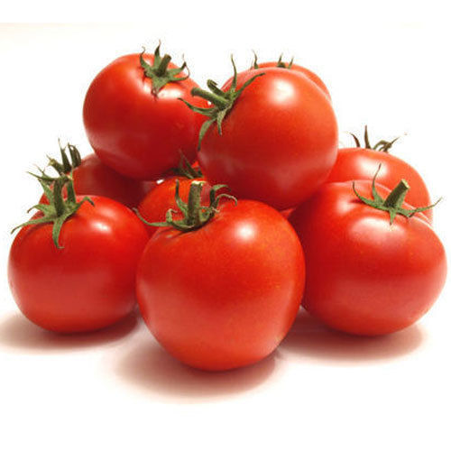 Japanese%20Tomato%20Biz%2025%C2%A0Piece%20SEEDS%20Home%20Tuber%20-%20Image%203