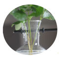 Plant Glass Vase Hydroponic Flower Pot Wooden Frame Stand Terrarium Home Decor.