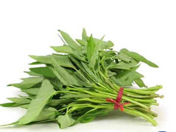 Water%20Spinach%20Seeds-%20100+%20pieces%20(Intek%20Packet)%20%E0%A6%95%E0%A6%B2%E0%A6%AE%E0%A6%BF%20%E0%A6%B6%E0%A6%BE%E0%A6%95%E0%A7%87%E0%A6%B0%20%E0%A6%AC%E0%A7%80%E0%A6%9C%20-%20Image%204